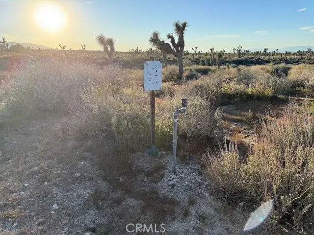 0 Ave X/220, Llano, CA 93544 - #3