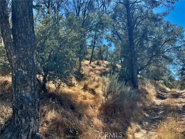 0 Short Trail, Frazier Park, CA 93225 - #3