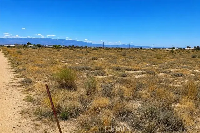 5 Mojave Tropical, Rosamond, CA 93560 - #2
