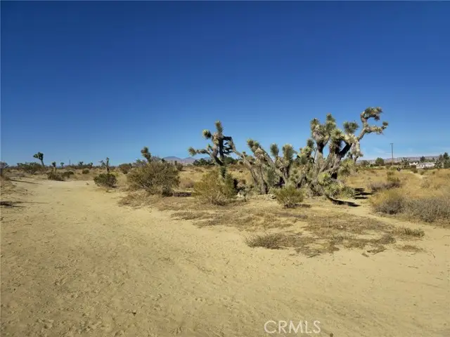 5 Mojave Tropical, Rosamond, CA 93560 - #3