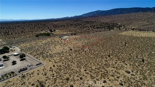 31400 227th Street East, Llano, CA 93544 - #2