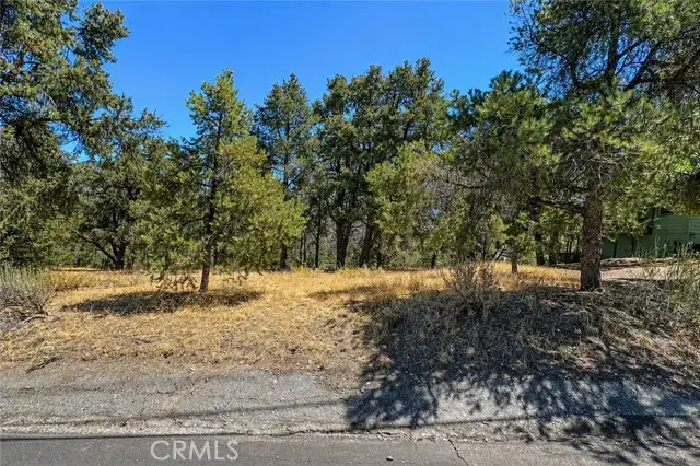 2404 Tirol Drive, Pine Mountain Club, CA 93222 - #3