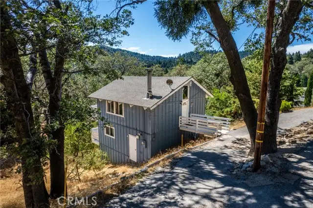 29199 Lake Brook, Cedar Glen, CA 92321 - #2