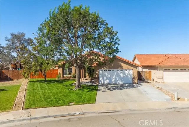 3301 Toby, Rosamond, CA 93560 - #2