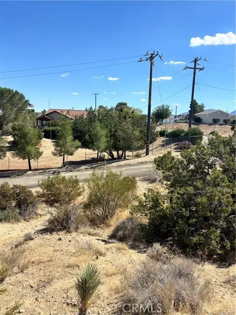 0 Alaga, Pearblossom, CA 93553 - #1