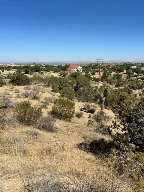 0 Alaga, Pearblossom, CA 93553 - #2