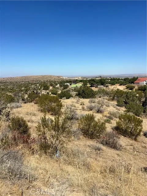 0 Alaga, Pearblossom, CA 93553 - #3