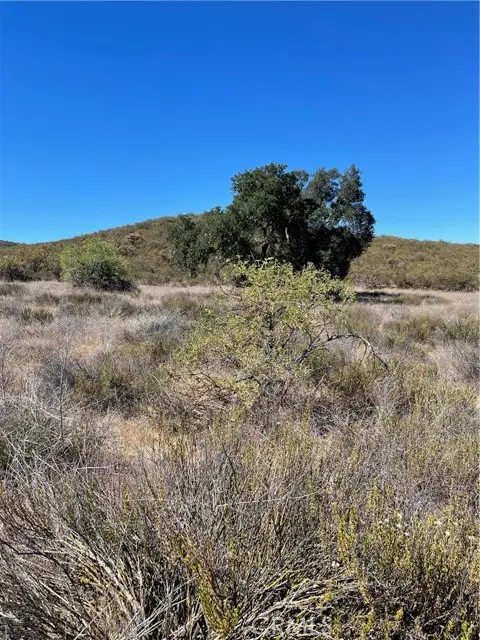 20 Stier Street, Hemet, CA 92544 - #1