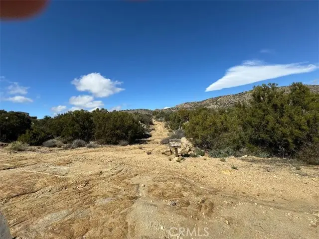 0 Covered Wagon Trail, Anza, CA 92539 - #3