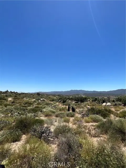 0 Tamatea Road, Anza, CA 92539 - #1
