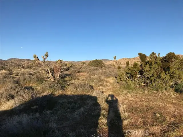 #3