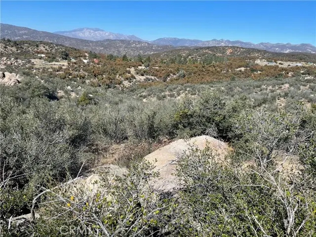 40635 Tweedie Trail, Anza, CA 92539 - #1