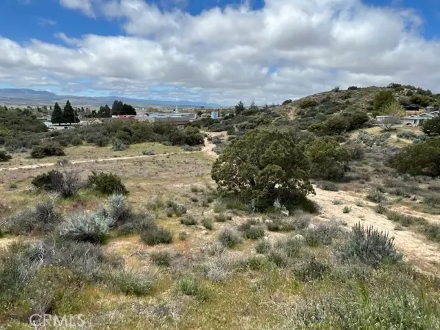 56735 Cain Road, Anza, CA 92539 - #2