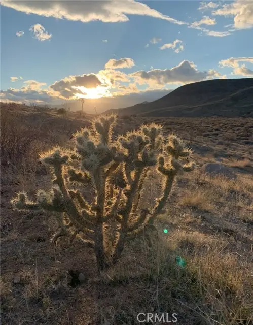 0 E Drive, Pioneertown, CA 92268 - #1