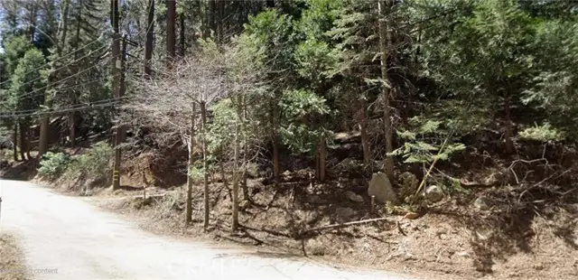 0 Community Drive, Lake Arrowhead, CA 92352 - #1