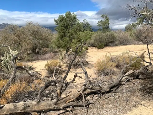 368 Palm Canyon Drive, Mountain Center, CA 92561 - #2