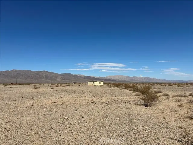 1 Screech Owl, Twentynine Palms, CA 92277 - #2