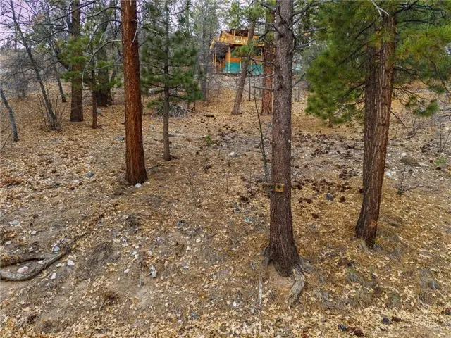 1237 Ridge Road, Fawnskin, CA 92333 - #2