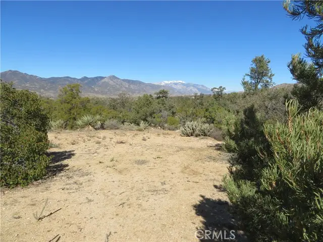 155 Lot #155 Buckthorn, Mountain Center, CA 92561 - Image #3