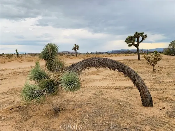 58040 Junipero, Yucca Valley, CA 92284