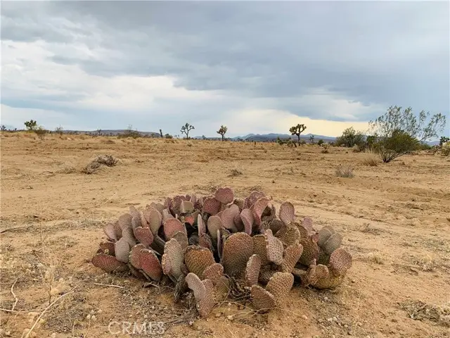 58040 Junipero, Yucca Valley, CA 92284 - #2