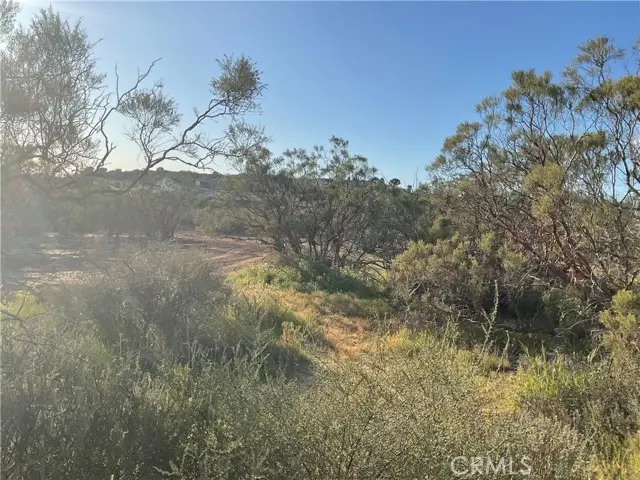 687 Saddleback Drive, Aguanga, CA 92536 - #2