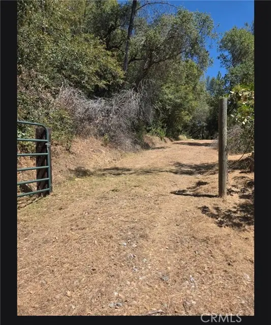 1371 Moccasin Trail, Placerville, CA 95667 - #1