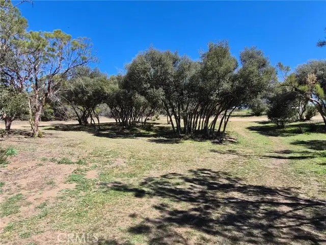 38295 Indian Road, Anza, CA 92539 - #2