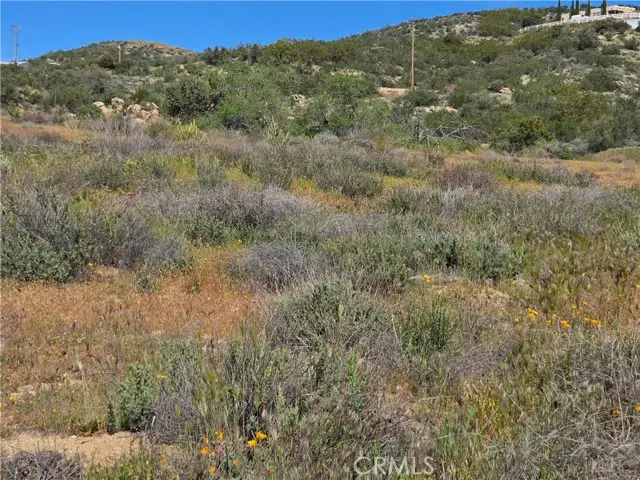 5 Fletcher, Anza, CA 92539 - #2