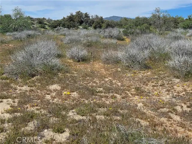 4 Fletcher, Anza, CA 92539 - #2