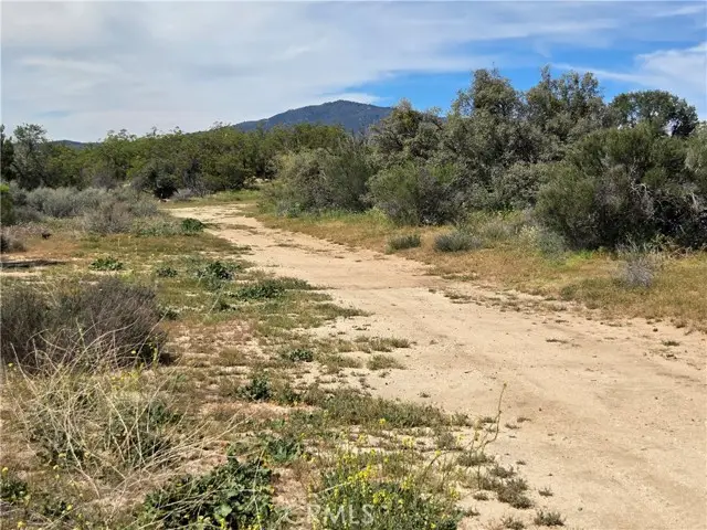 4 Fletcher, Anza, CA 92539 - #3