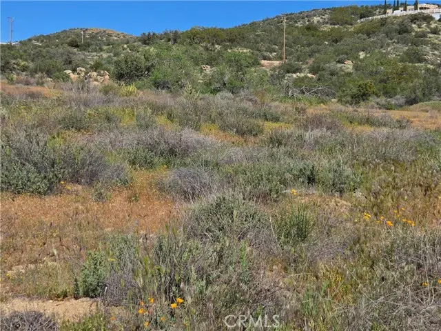 3 Fletcher, Anza, CA 92539 - #2