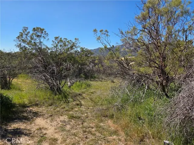 0 Pony Trail, Anza, CA 92539 - #3