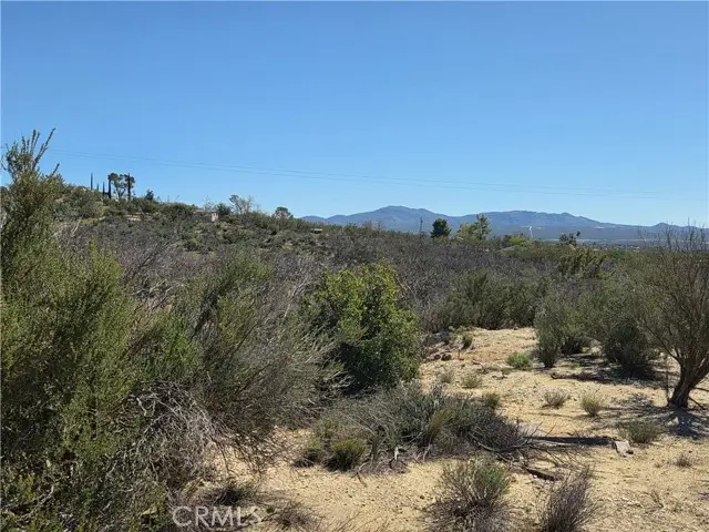 0 Howard, Anza, CA 92539 - #2