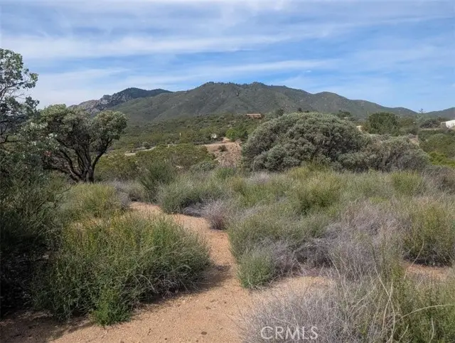 0 Murray Hills Road, Anza, CA 92539 - #3