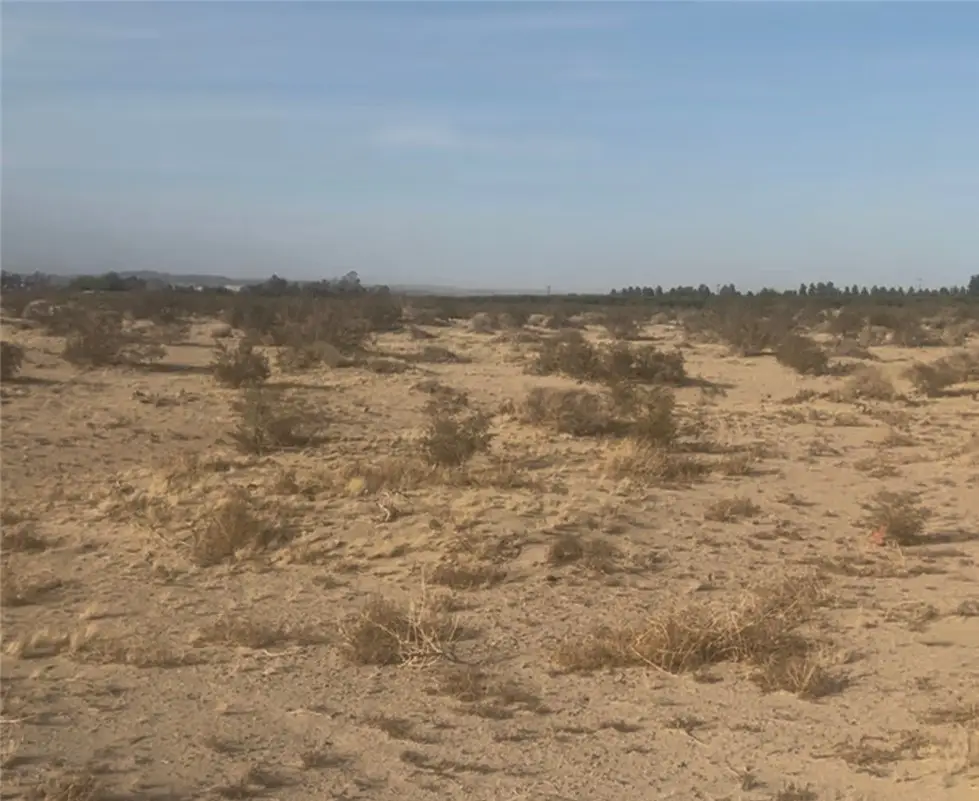 40626 Valley Center, Newberry Springs, CA 92365 - #1