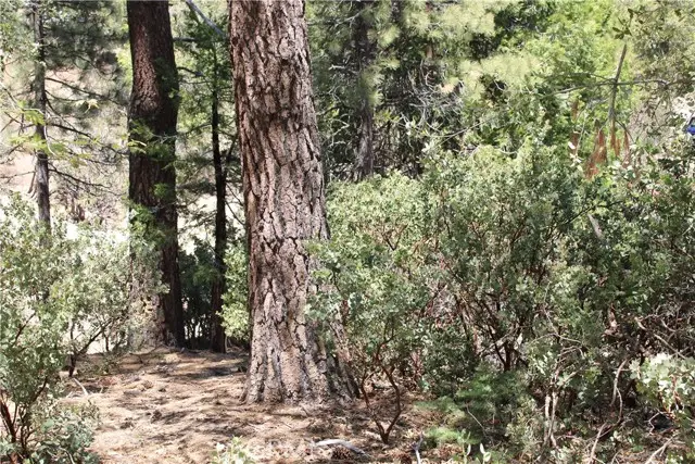 8 Big Rock Drive, Idyllwild, CA 92549 - #2