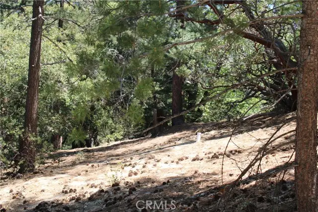 8 Big Rock Drive, Idyllwild, CA 92549 - #3