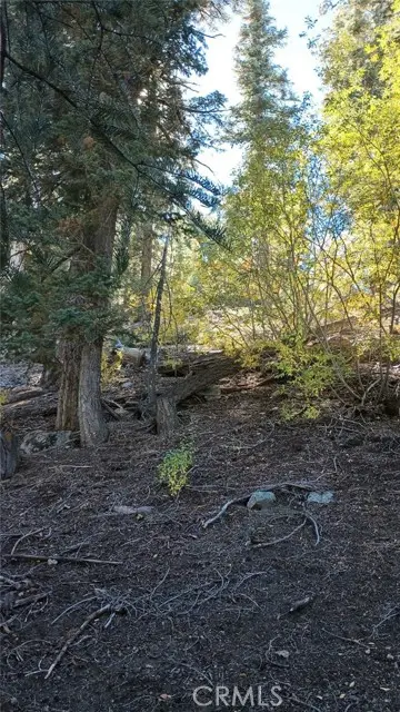 0 Cherry, Big Bear Lake, CA 92315 - #3