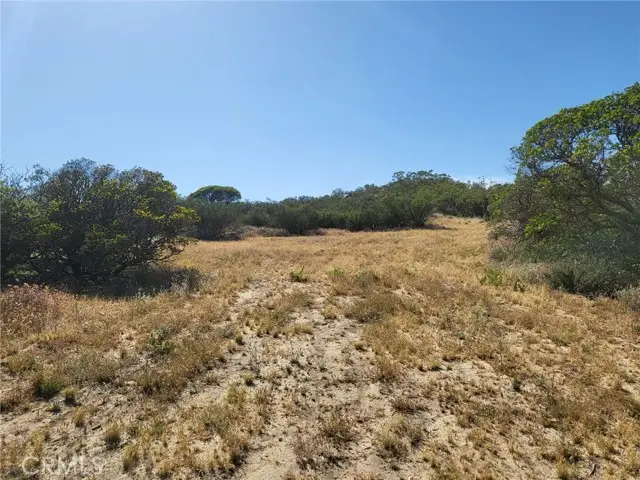 887 Forest Springs Road, Aguanga, CA 92536 - #3