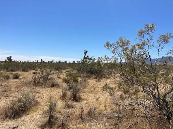 0 213th, Llano, CA 93544