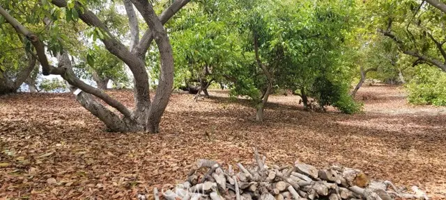 16 Camaron, Temecula, CA 92590 - #2