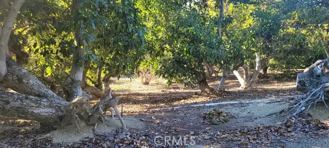 16 Camaron, Temecula, CA 92590 - #3
