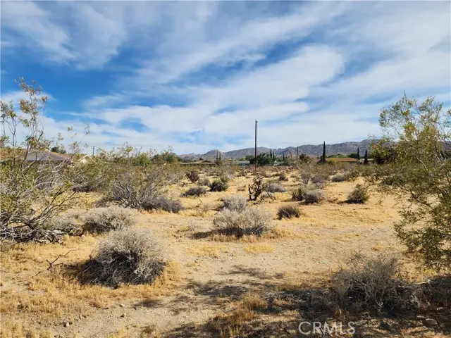 61665 Division, Joshua Tree, CA 92252 - #3