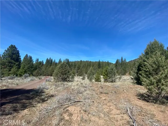 0 Matthews Road, Dorris, CA 96023 - #3