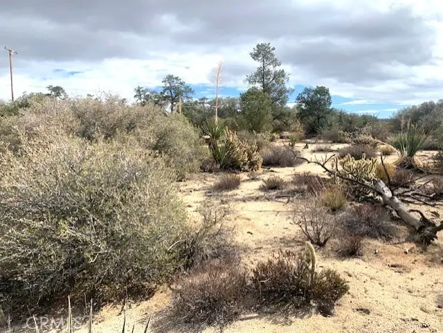 368 Palm Canyon Drive, Mountain Center, CA 92561 - #3