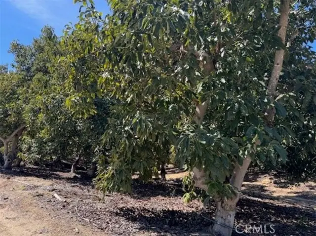 1 Monte Rancho, Temecula, CA 92590 - #3