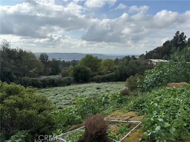 707 Dorothea, La Habra, CA 90631 - #2