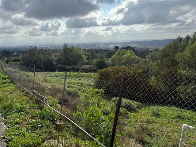 707 Dorothea, La Habra, CA 90631 - #3