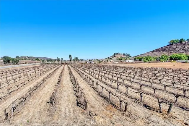 38680 Felicidad, Murrieta, CA 92562 - #3